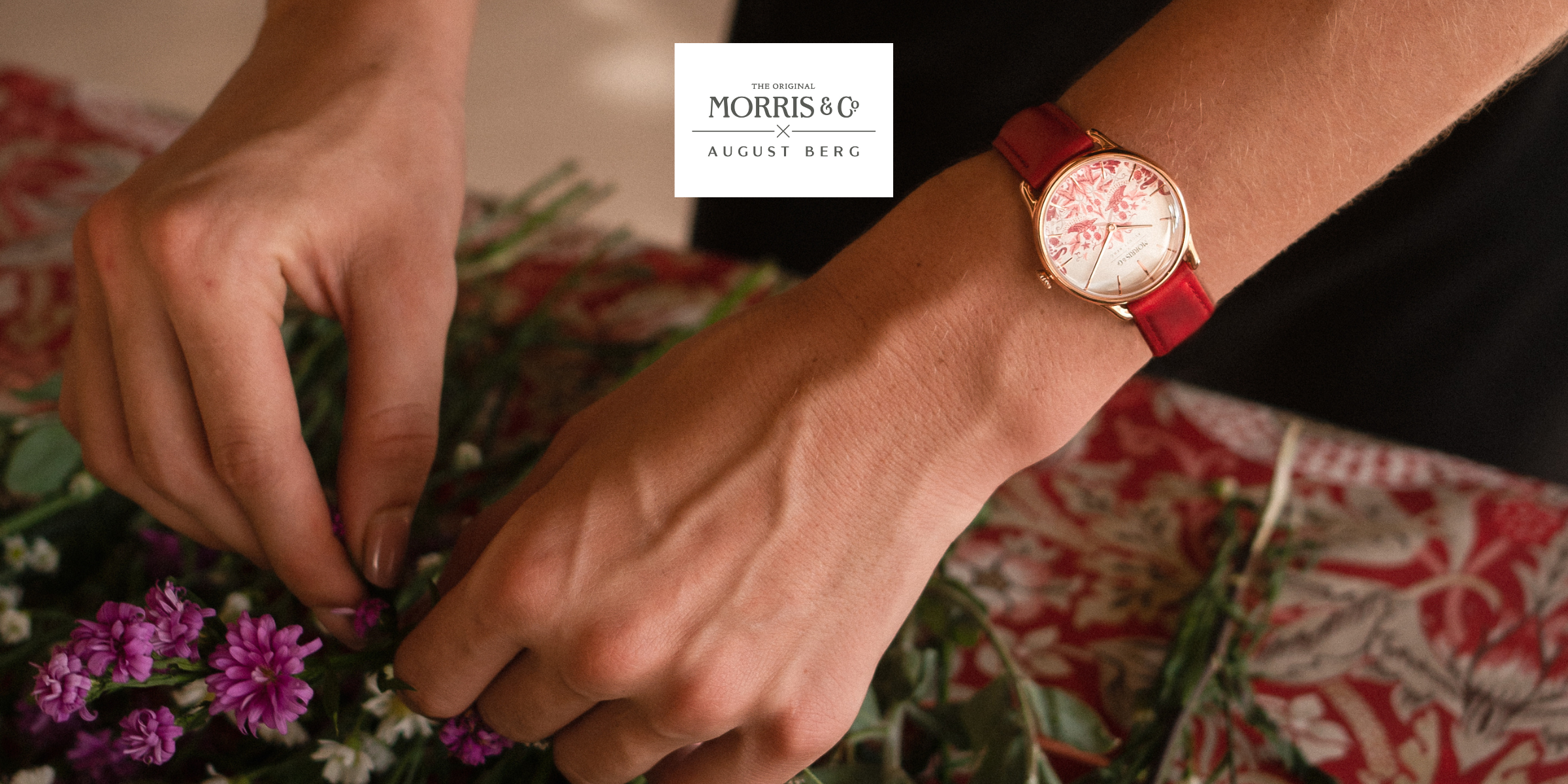 The New Simply Strawberry Thiefを発見してください。アウグスト・ベルクの哲学を時代を超えて表現